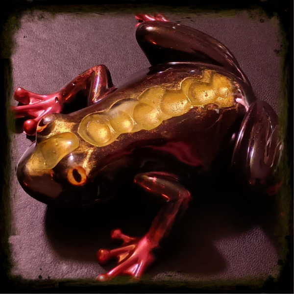 Frog - Raindrop Mohawk
