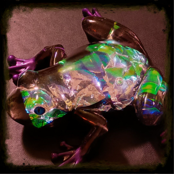 Frog - Holgraphic