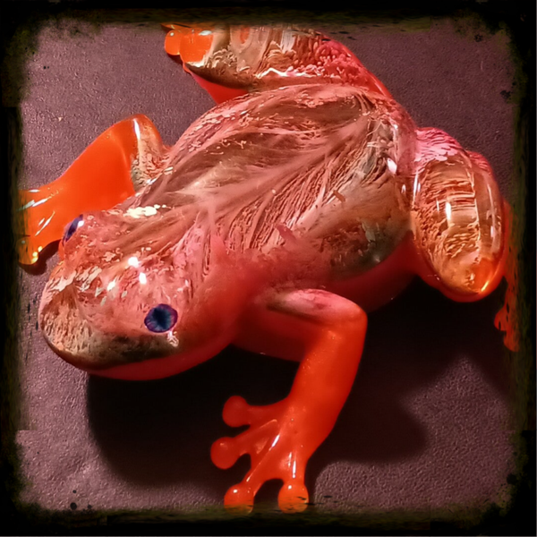 Frog - Orange Feather