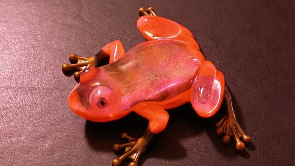Frog - Orange Feather