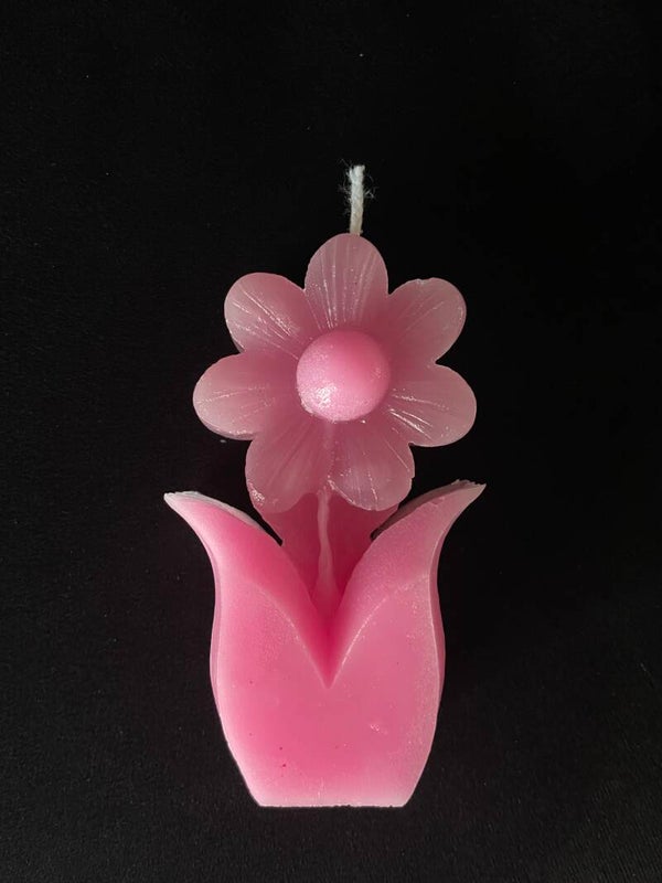 Diverse Bloemen en Kerstbomen set