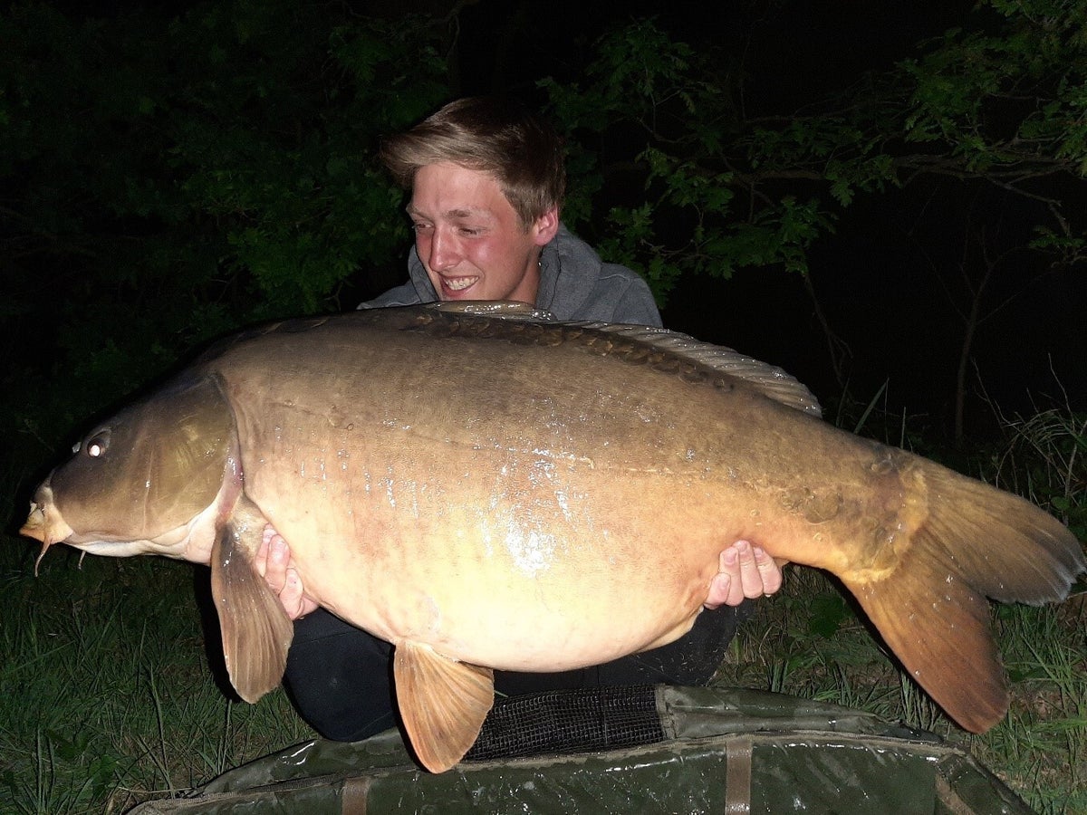 Maes Carp Baits