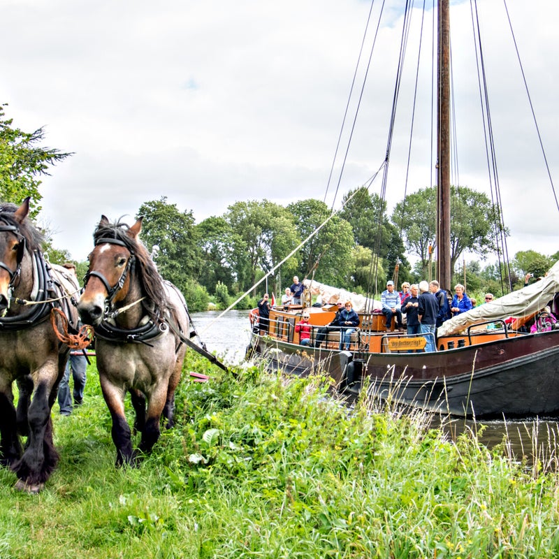 TrekvaartmetDenOnthaestingh2016-1.jpg