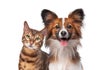 Un poil de tendresse