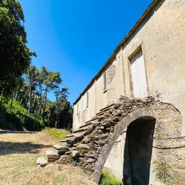 2022-07-19105758.jpg