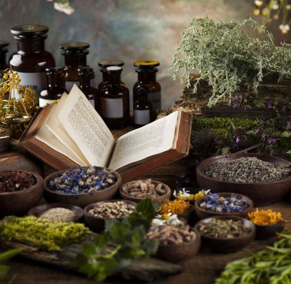 Atelier : Les protections énergétiques