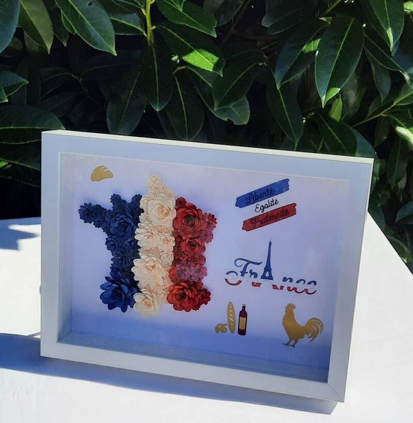 Cadre " France "