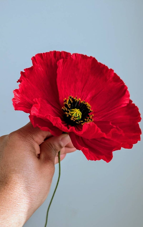 Coquelicot