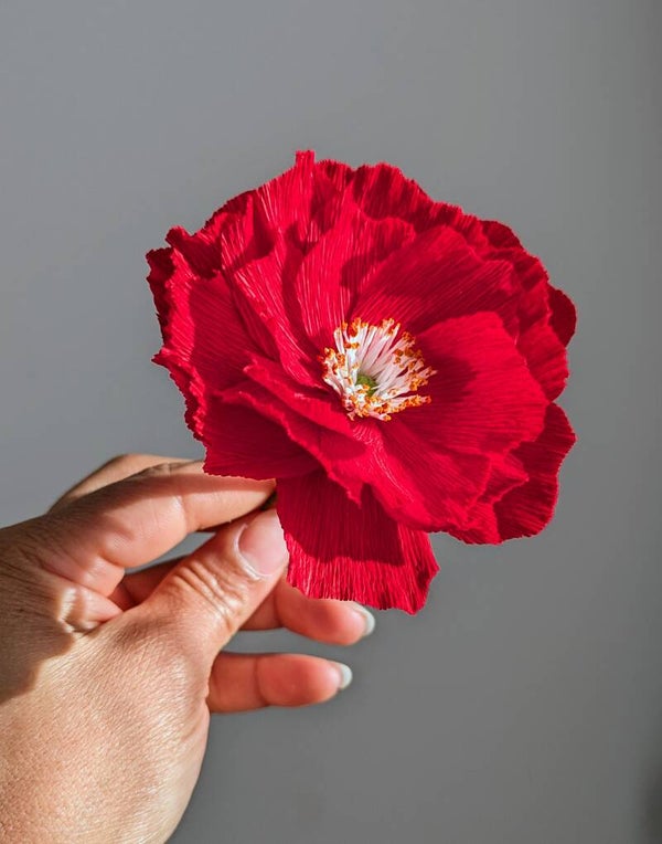 Rose multiflora