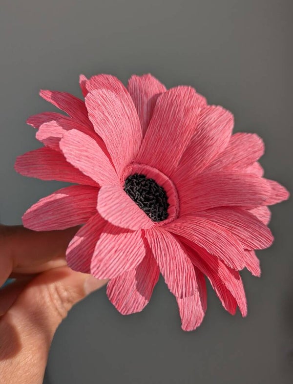 Gerbera