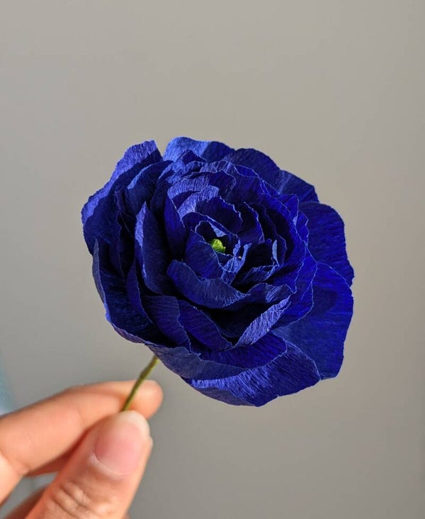Rose Lady Banks