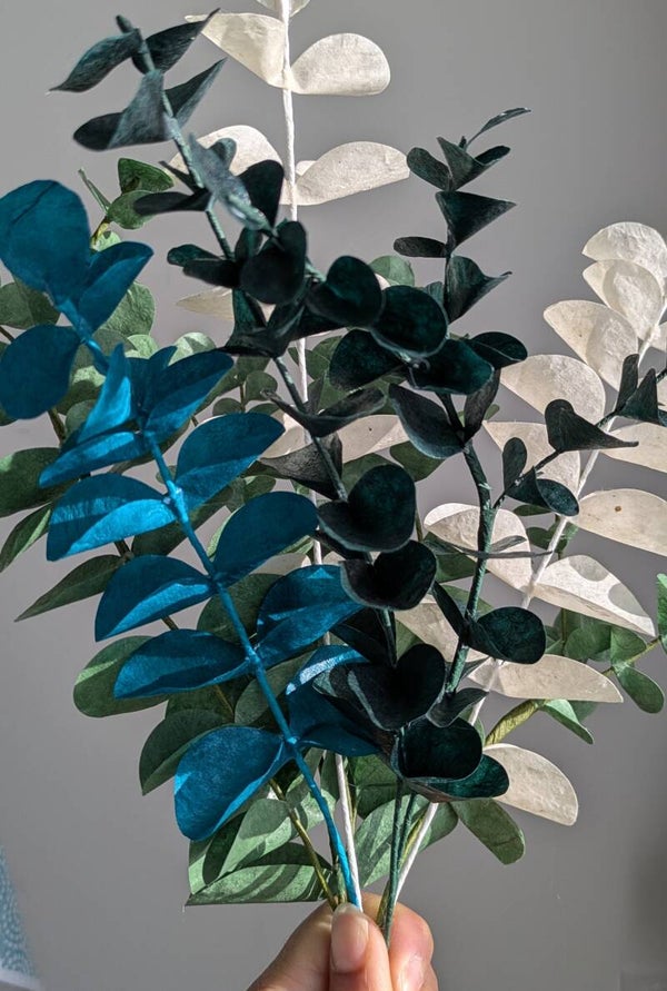 Eucalyptus