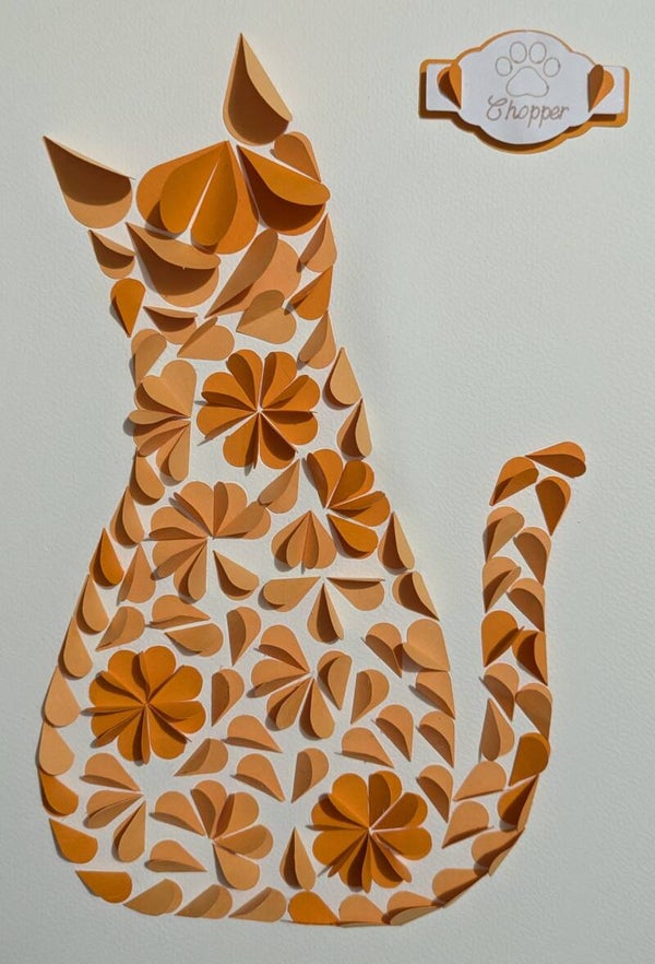 Kit DIY  “Sweet cat”