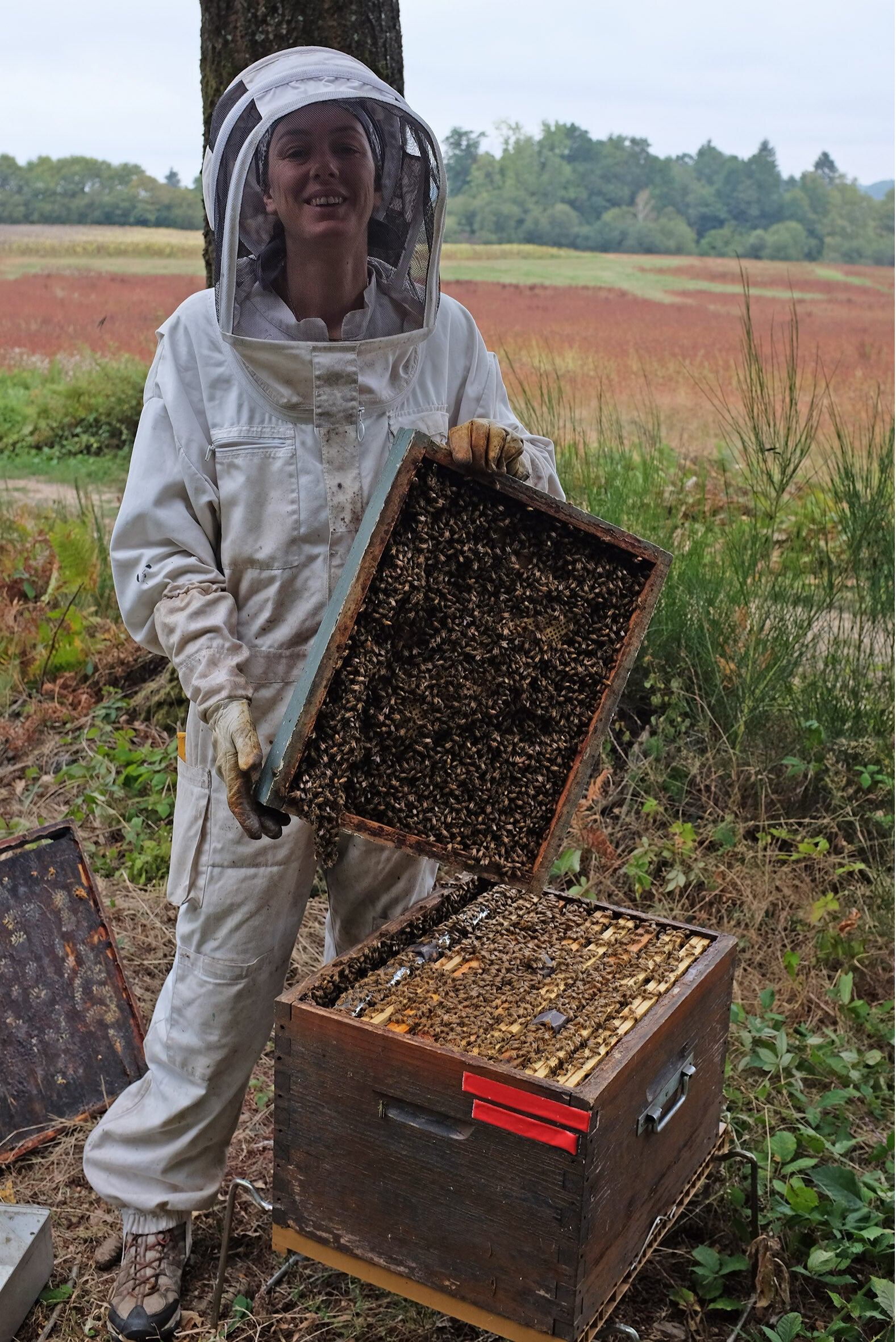 Apicultrice et Abeilles