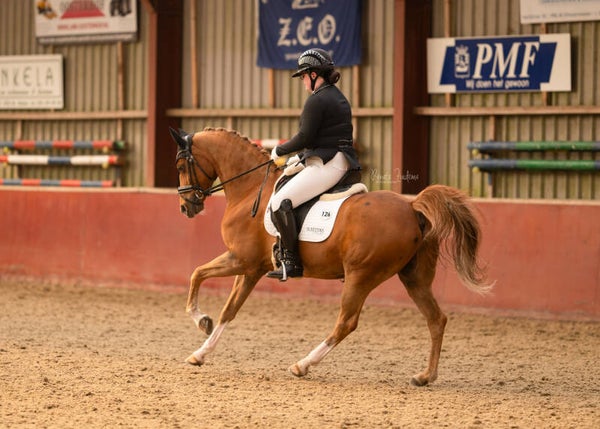 DZC Kur op muziek Reels video