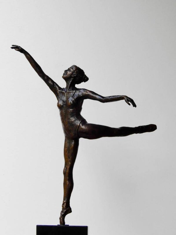 Ballerina Fly Away 1