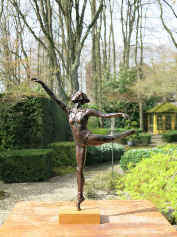 Ballerina Fly Away 1