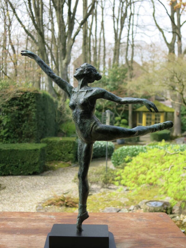 Ballerina Fly Away 2