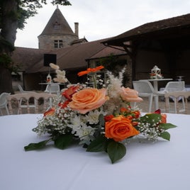 img_3720-standard.jpg
