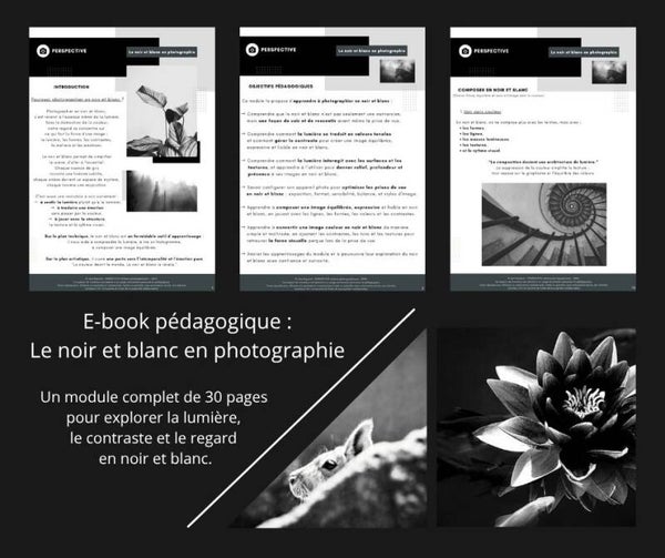 Le noir et blanc en photographie