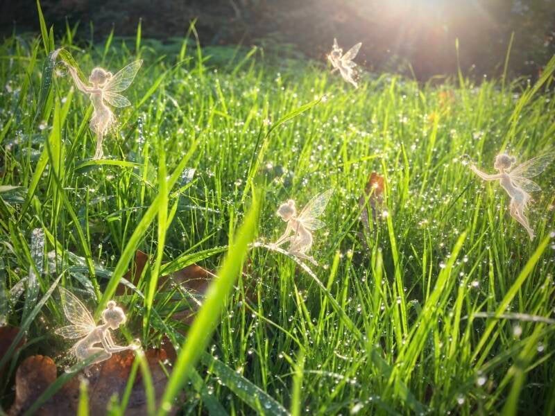 Elfjes in het Gras