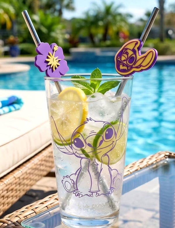 480ml Glass and Twin Straw Set