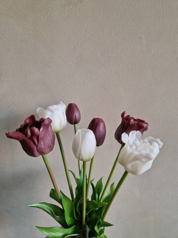 Tulpen boeket wit/aubergine
