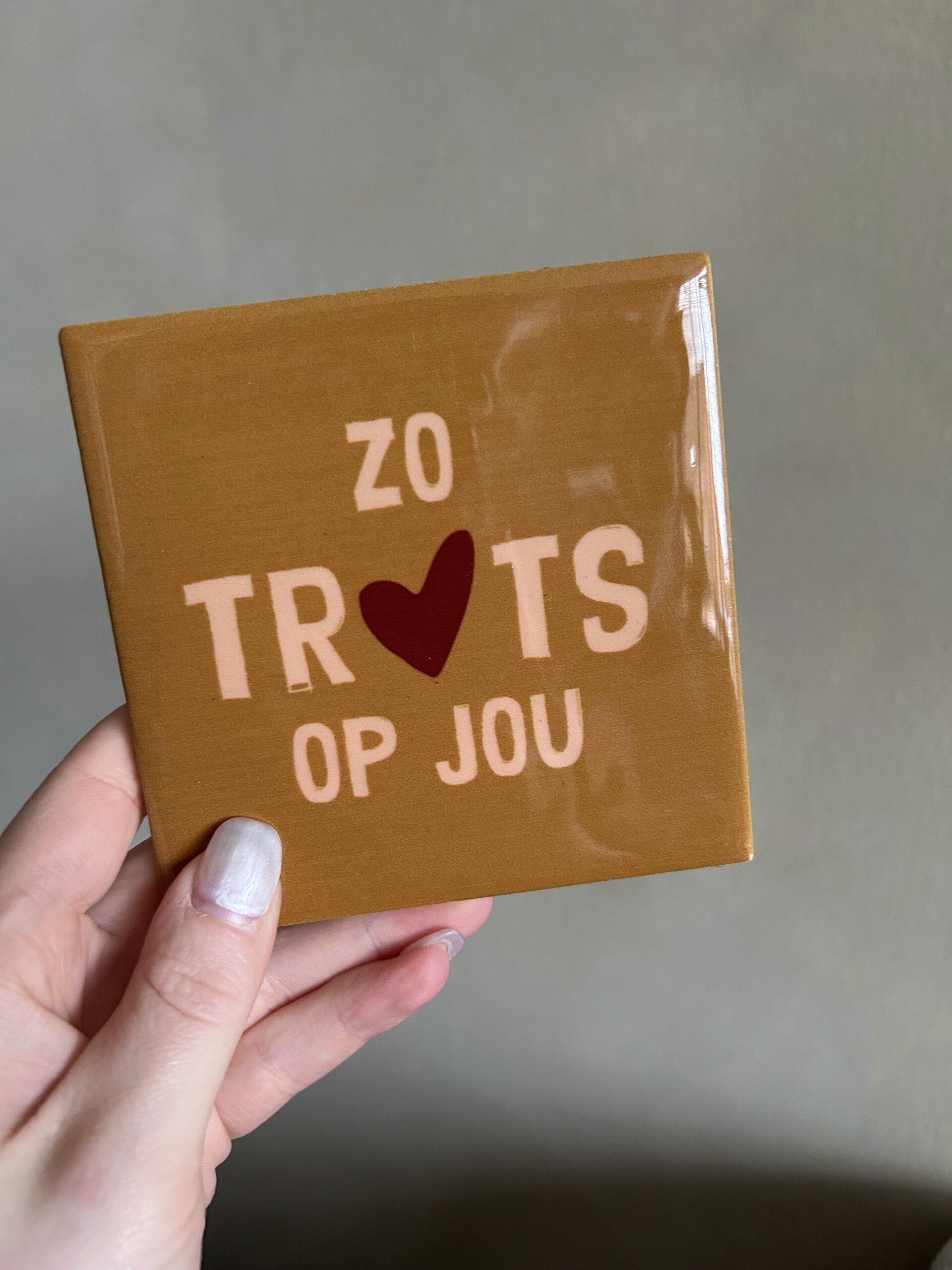 Tegeltje zo trots op jou