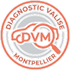 diagnostic valise Montpellier