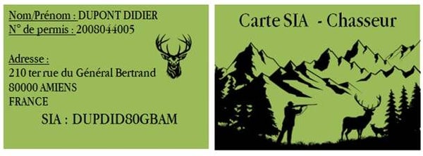 Carte de visite personnalisé - Modèle SIA montagne