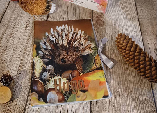 Protège carnet de santé personnalisé - Modèle hérisson 2