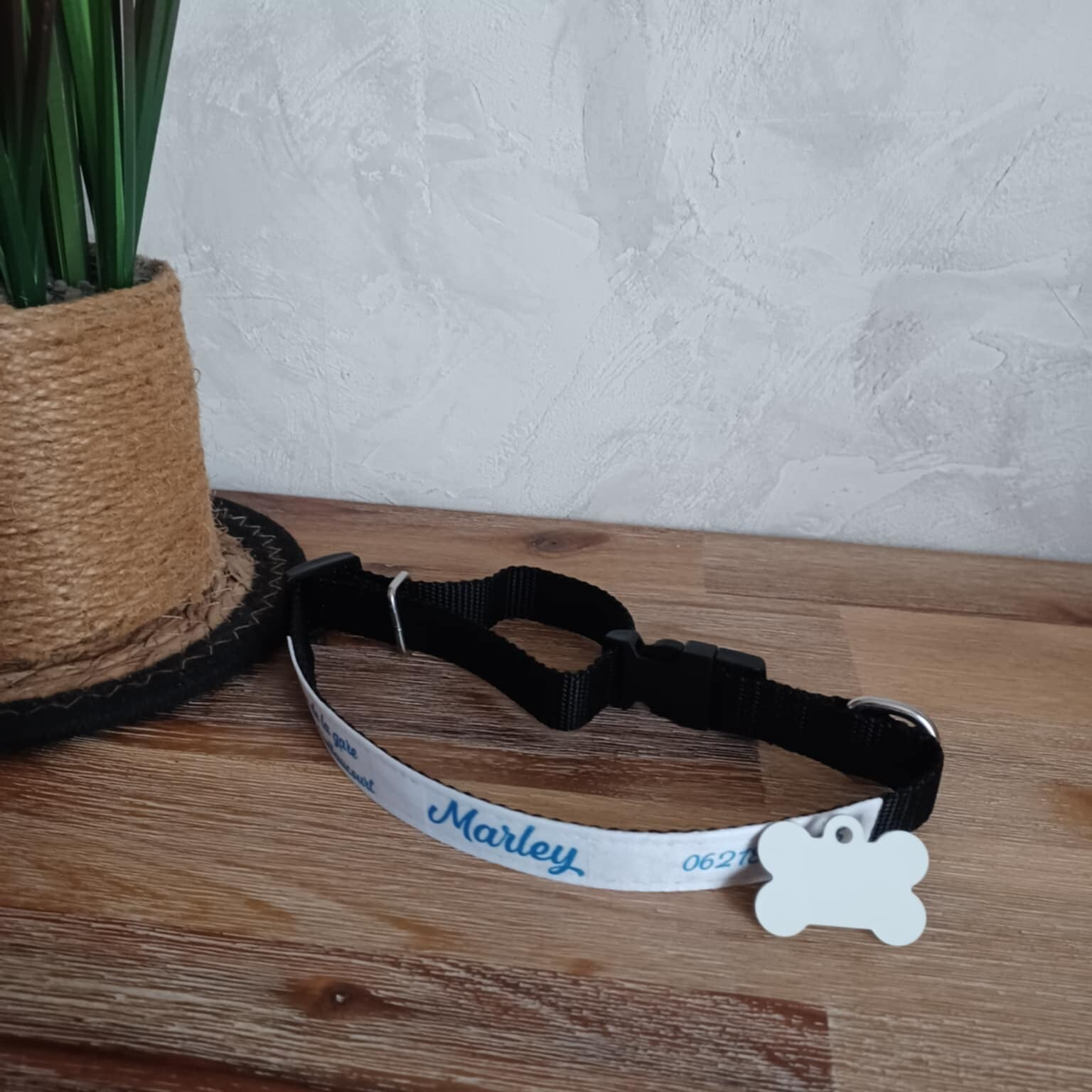 Collier chien personnalisé - Modèle texte