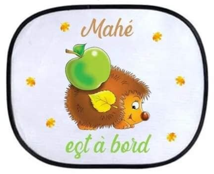 Pare-soleil personnalisé - Modèle hérisson avec pomme + feuille d'automne