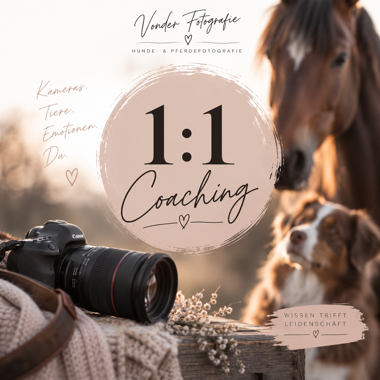 1:1 Coaching Hunde- & Pferdefotografie 📸🐾🐴
