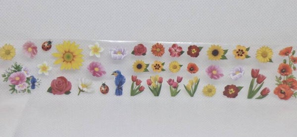 Summer Meadow