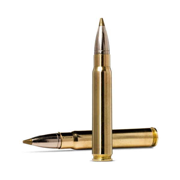 Norma EVOSTRIKE 9,3x62 11,9g 20 stk.