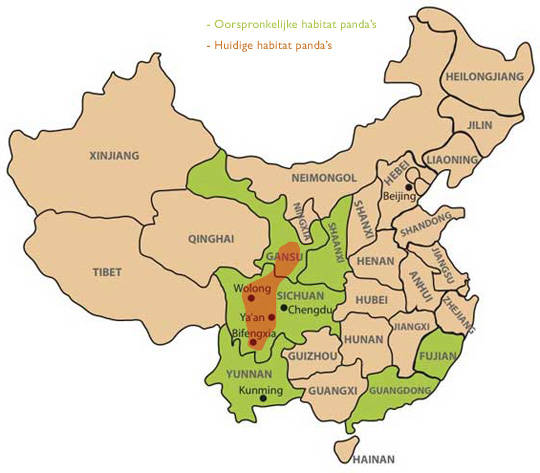 waar leeft de panda | pandahelpen.nl