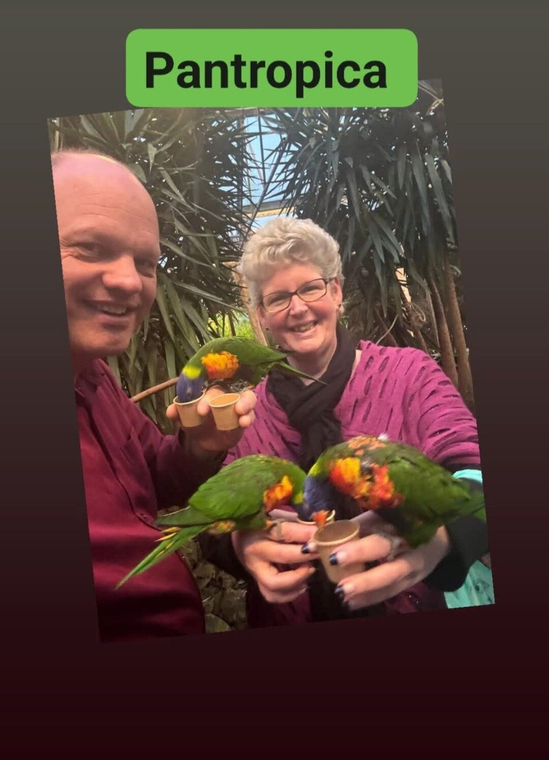 Dagtocht Spreid je vleugels en ontdek Luttelgeest