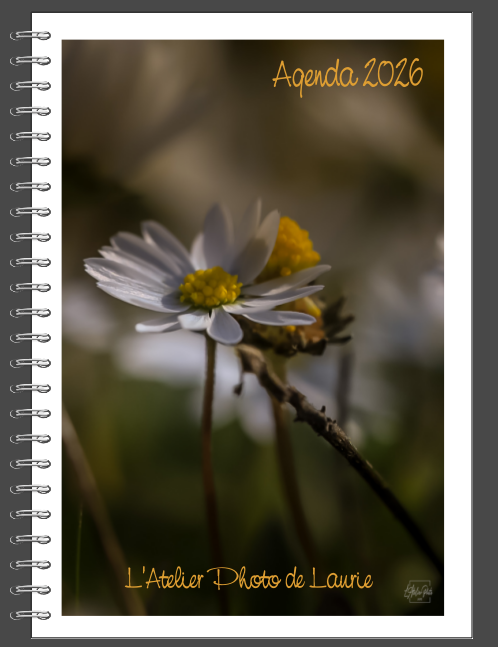 Agenda semainier 2026