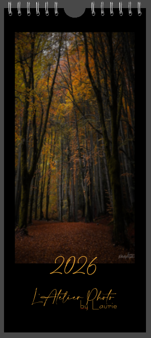 Calendrier planning 2025 - format 13x29