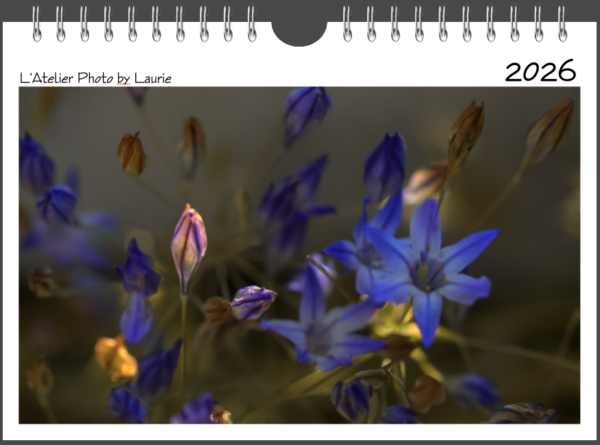 Calendrier 2026 - format A5