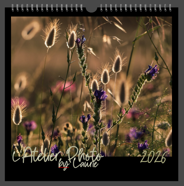 Calendrier simple 2026 - format 30x30