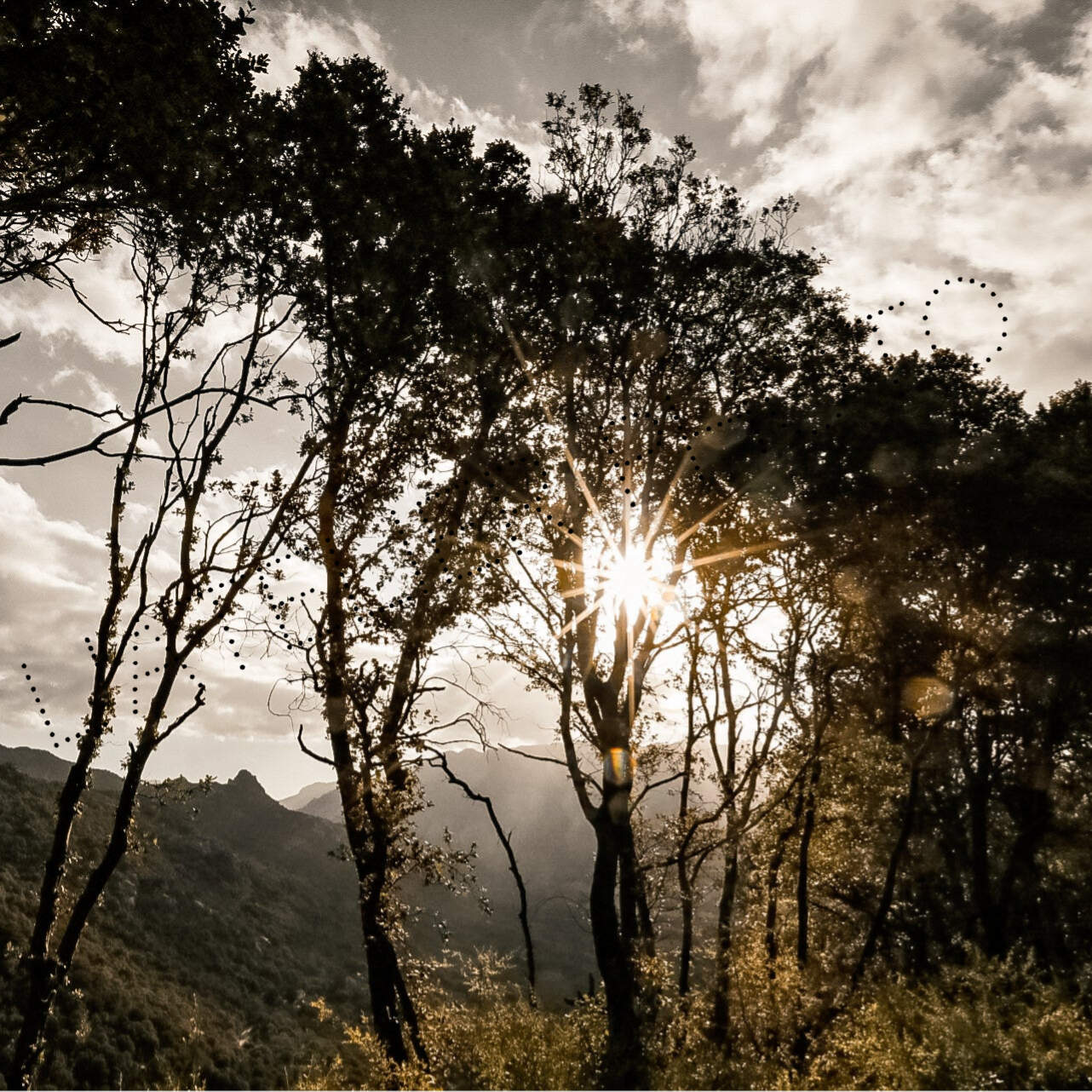 Magnet - "Cache cache"