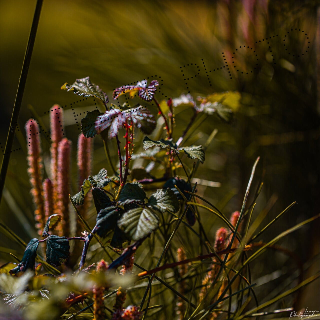 Magnet - "Bouquet sauvage"