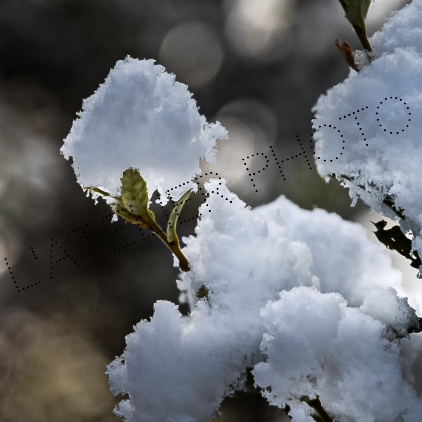 Magnet - "fleur de neige"