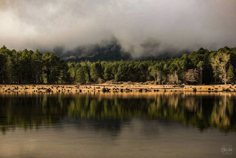 Reflet d’une forêt dans un lac calme avec brume au pied des montagnes.