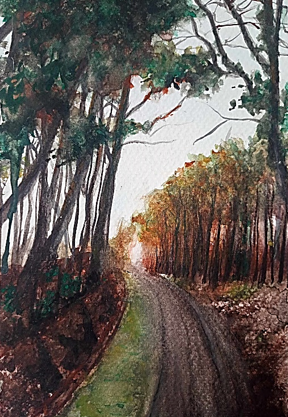 Aquarelle - Forêt Sarthoise
