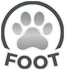 Foot