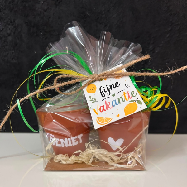 • Citronella kaarsjes • Geniet