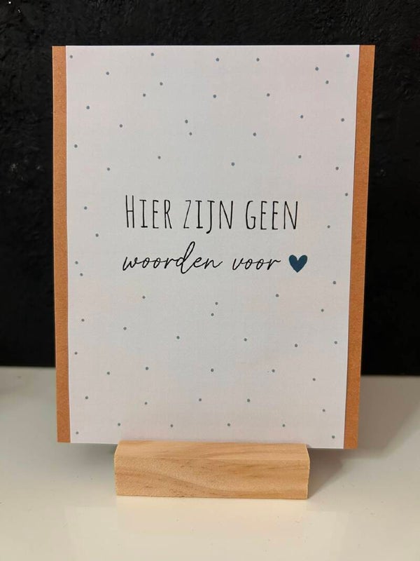 • Hier zijn geen woorden voor •